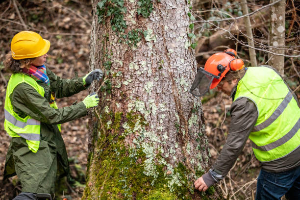 Best Emergency Tree Removal  in Kennesaw State University, GA